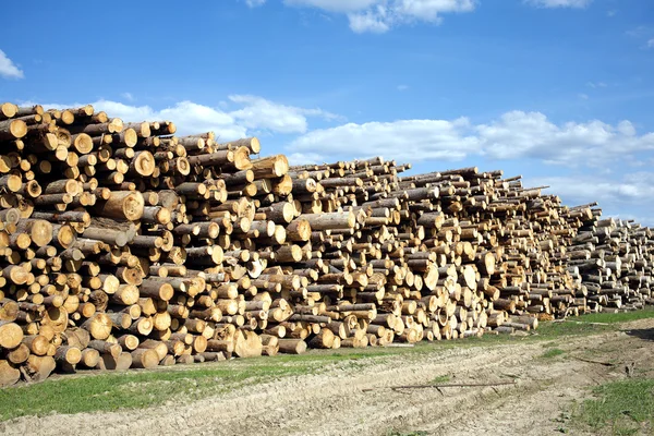 Landscape width stacked pine logs — Stock Photo, Image