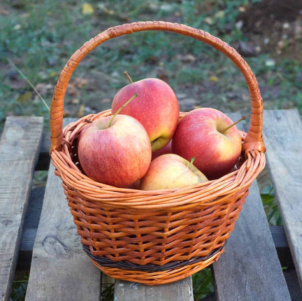 Apples in brown wicker basket — Stock Photo, Image