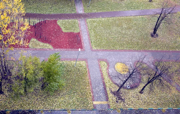 Autumn city park with fallen yellow leaves in cloudy day — Stock Photo, Image