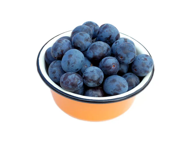 Prunes bleues mûres en bown isolé — Photo