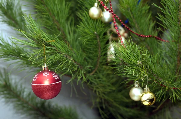 Neujahrsbaum mit runden Weihnachtskugeln auf Ästen — Stockfoto