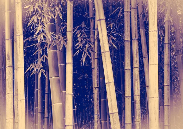 Vintage pozadí bambus — Stock fotografie
