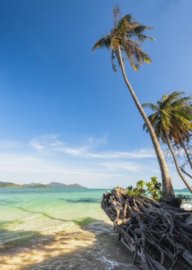 Bazı avuç içi ile güzel tropikal plaj manzarası. Tayland Koh Laoya deniz
