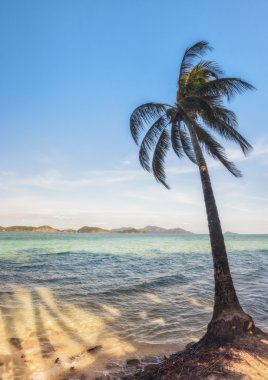 Bazı avuç içi ile güzel tropikal plaj manzarası. Tayland Koh Laoya deniz