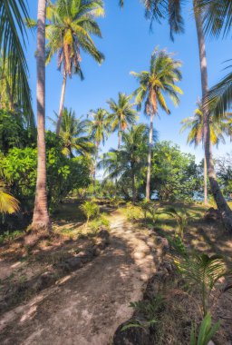 Bazı avuç içi ile güzel tropikal plaj manzarası. Tayland Koh Laoya deniz.