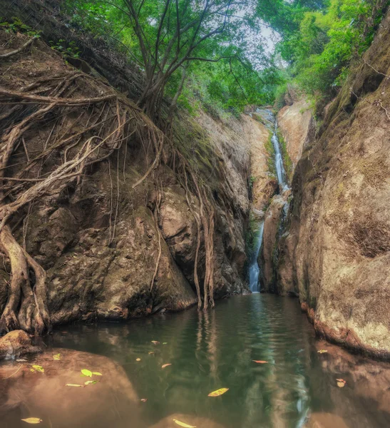 Tailandia. Isla Koh Chang. Selva cascada Klong Neung . —  Fotos de Stock