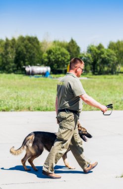 Köpek Servisi Boryspil Uluslararası Havaalanı.