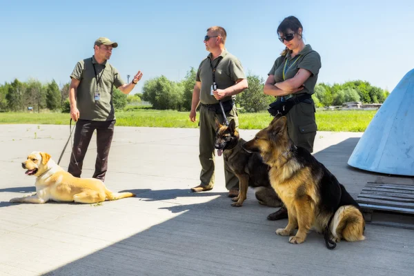 Köpek Servisi Boryspil Uluslararası Havaalanı.
