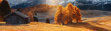 İtalya. Dolomites. Sonbahar yatay, parlak renkler, ev ve Karaçam ağaçlar yumuşak güneş ışığı altında.