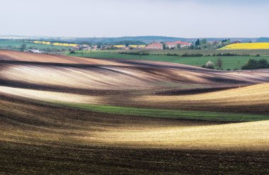 Çek Cumhuriyeti. South Moravia. Hovorany köyü yakınlarında alanları