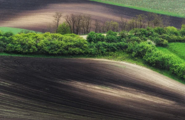 República Checa. Morávia do Sul. Campo da Morávia, terra arada — Fotografia de Stock
