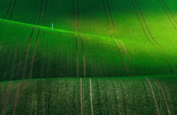 Tsjechische Republiek. Zuid-Moravië. Moravische groene velden. — Stockfoto