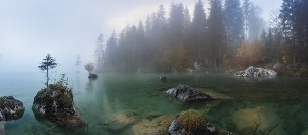 Misty mañana de verano en el lago Hintersee en los Alpes austríacos . — Foto de Stock