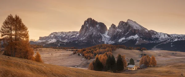 İtalya. Dolomites. Sonbahar yatay, parlak renkler, ev ve Karaçam ağaçlar yumuşak güneş ışığı altında.