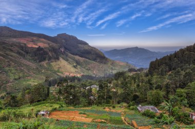 Beautiful view of the mountainous part of the island of Sri Lanka in the district of Nuwara Eliya clipart
