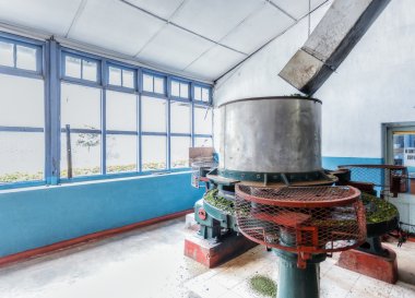 Sri Lanka. Nuwara Eliya. Çay fabrikası kapalı çevresinde