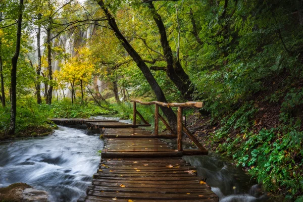 Croácia. Lagos Plitvice. Passarela de madeira com corrimãos sobre o fluxo para a cachoeira — Fotografia de Stock