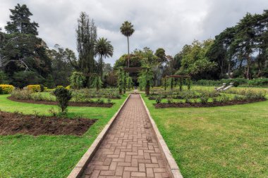 Nuwara Eliya, Sri Lanka. Kraliçe Victoria Parkı
