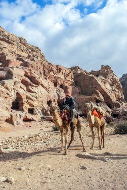 Petra, Jordan - 22 Kasım 2007: Tanımlanamayan yerel Bedevi Kraliyet mezarları yakınındaki Develer üzerinde destekli