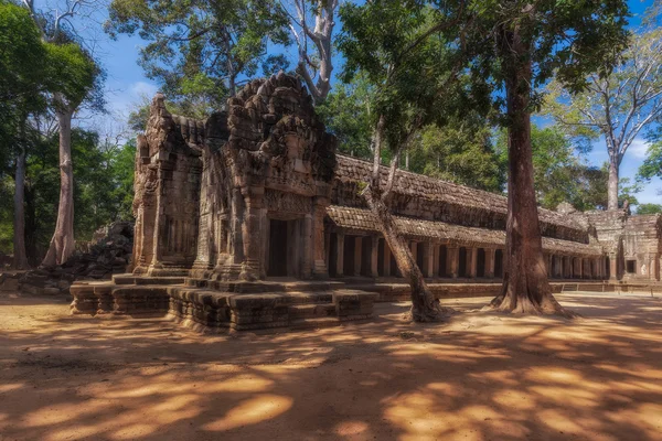 Alerta, CAMBODIA. 16 de Dezembro de 2011. Arquitetura Khmer antiga. Ta Prohm templo com banyan árvore gigante no complexo Angkor Wat — Fotografia de Stock