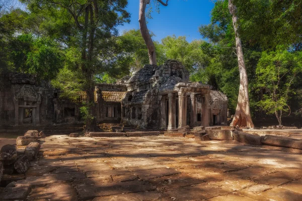 Siem Reap, CAMBOYA. 16 de diciembre de 2011. Las ruinas del templo de Ta Prohm — Foto de Stock