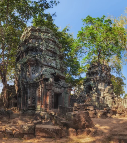 SIEM REAP, CAMBODIA. December 16, 2011.Ta Prohm, ancient temples in the jungle — Stock Photo, Image