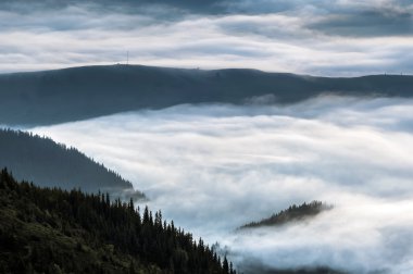 Karpat Dağları. Güneş doğarken sis kaplı dağları.