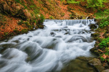 Karpat Dağları. Dağ nehir kenarında şelale Shipot.