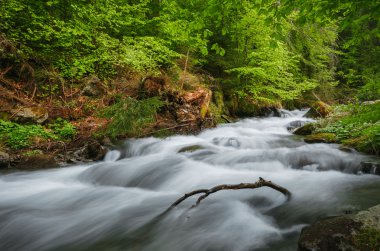 Karpat Dağları. Dağ nehir kenarında şelale Shipot
