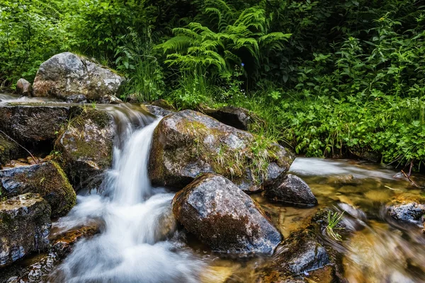 Montanhas Cárpatas. Fluxo de montanha e grama verde no banco . — Fotografia de Stock