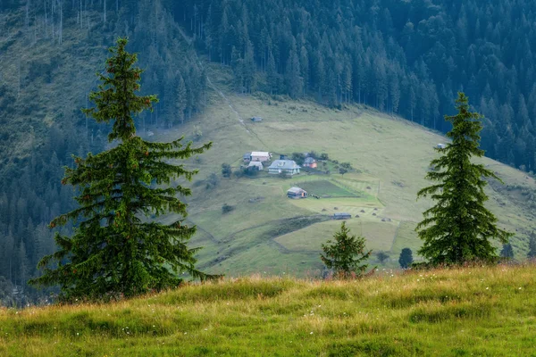 Carpathian Mountains. Mountain village on the green slopes Dzembronya. — Stock Photo, Image