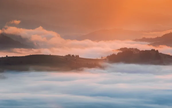 Monti Carpazi. Montagne coperte di nebbia all'alba . — Foto Stock