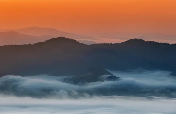 Monti Carpazi. Montagne coperte di nebbia all'alba . — Foto Stock