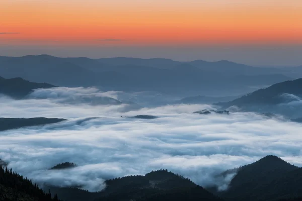 Montanhas Cárpatas. Montanhas cobertas de névoa ao nascer do sol . — Fotografia de Stock