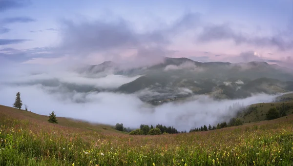 Les Carpates. Panorama de la vallée avec brouillard . — Photo
