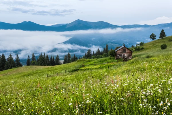 Carpathian Mountains. The house is on a slope in the green grass, fog, mountains in the distance. — Stock Photo, Image