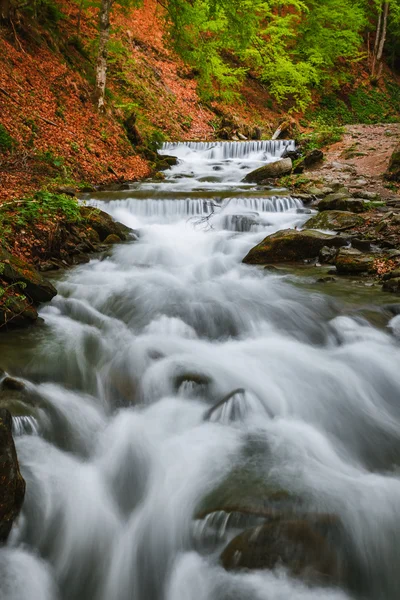 Montanhas Cárpatas. O rio da montanha perto da cachoeira Shipot . — Fotografia de Stock