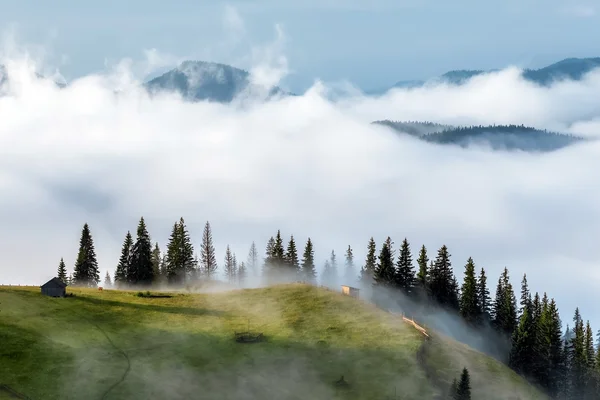 Montañas Cárpatas. Las montañas en la niebla . —  Fotos de Stock