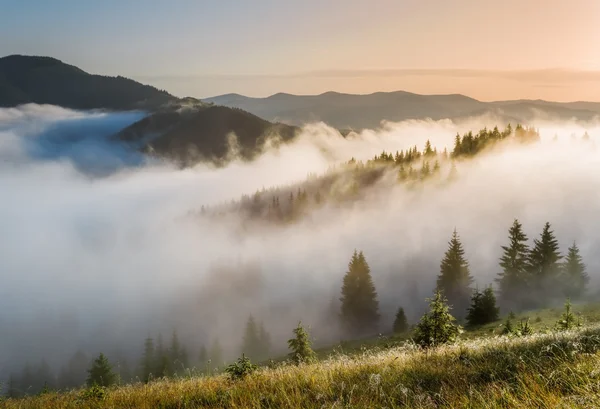 Monti Carpazi. Le pendici delle montagne nella nebbia . — Foto Stock