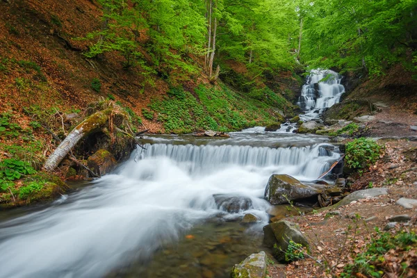 Carpathian Mountains. Waterfall Shipot, mountain river. — Stock Photo, Image