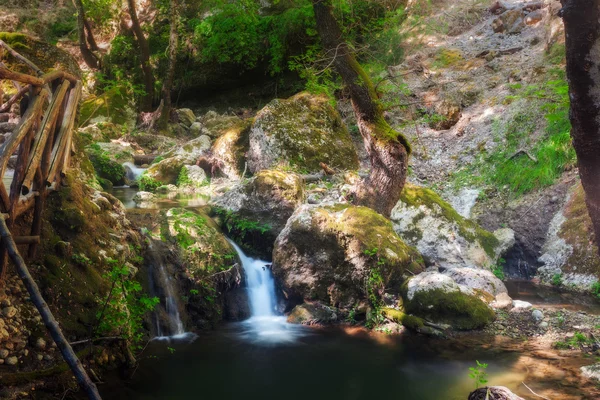 Butterfly Valley, a nature reserve. Rhodes Island. Greece — Stock Photo, Image