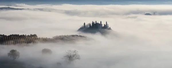 Cipresso sulle colline toscane in una mattina di nebbia — Foto Stock