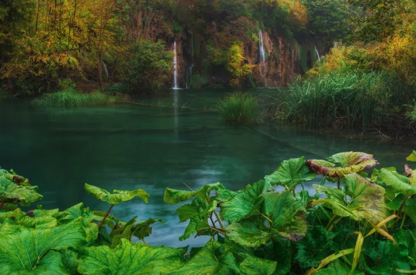 크로아티아. 플리트 비 체의 호수 녹색과 노란색 식물으로 둘러싸인 폭포와 호수 — 스톡 사진