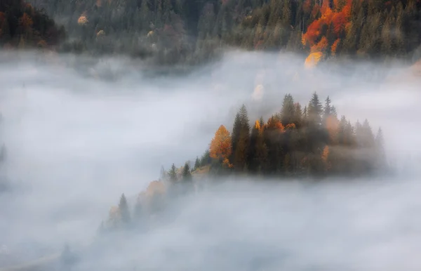 Monti Carpazi. Montagne ricoperte di nebbia, foresta autunnale . — Foto Stock