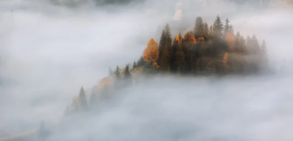 Carpathian Mountains. Mountains covered in mist, autumn forest. — Stock Photo, Image