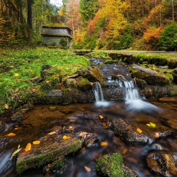 Montanhas Cárpatas. O rio da montanha na floresta de outono — Fotografia de Stock