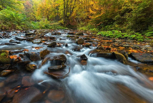 Montanhas Cárpatas. O rio da montanha na floresta de outono — Fotografia de Stock