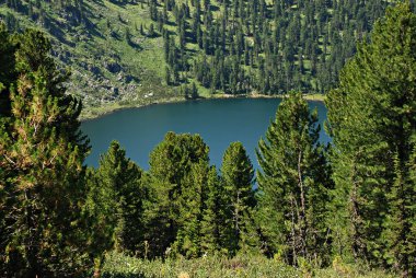 Dağ gölü Karacol, Altay, Rusya Federasyonu