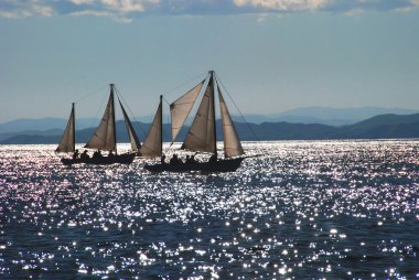Yelkenli, yelken yarışı, Vladivostok, Rusya Federasyonu. Japon, Pasifik Okyanusu