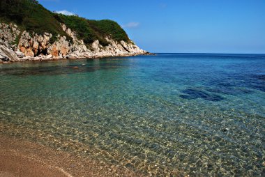 Tropikal bay, Japonya deniz, Pasifik Okyanusu, Primorye, Rusya Federasyonu